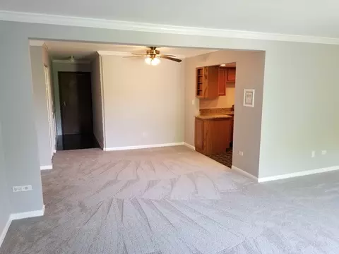 Living - 114 E Bailey Rd #L, Naperville, IL 60565 photo 3 of 6