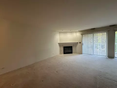 21 Exeter Ct #202B, Naperville, IL 60565 photo 5