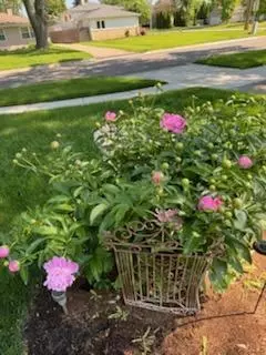 1316 Pershing Ave, Wheaton, IL 60189 photo 3