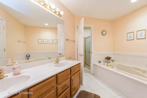 524 Shagbark Dr, Elgin, IL 60123 photo 12