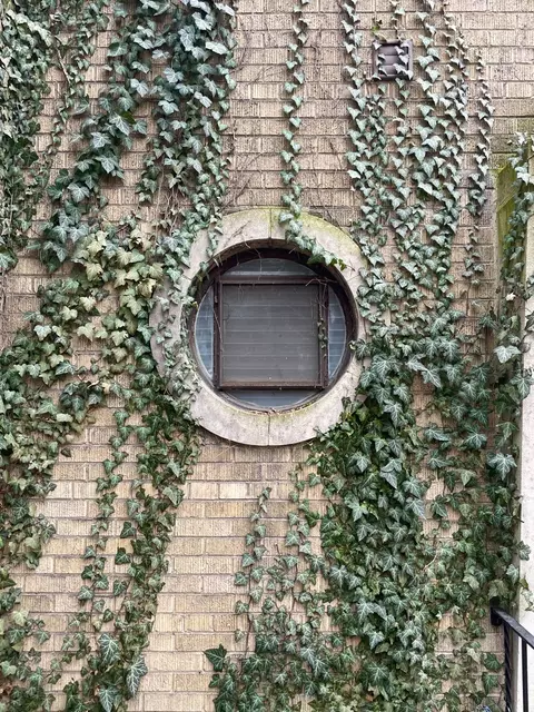 5481 S Cornell Ave #E, Chicago, IL 60615 photo 2