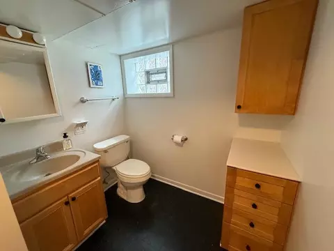 556 Barton Ave, Evanston, IL 60202 photo 35