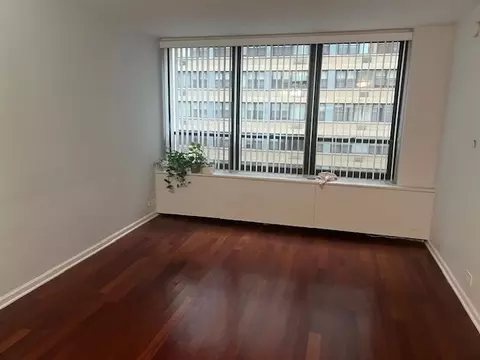 Living - 222 E Pearson St #905, Chicago, IL 60611 photo 2 of 4