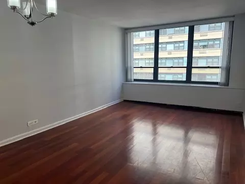 Living - 222 E Pearson St #905, Chicago, IL 60611 photo 3 of 4