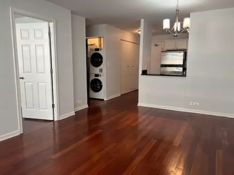Living - 222 E Pearson St #905, Chicago, IL 60611 photo 4 of 4