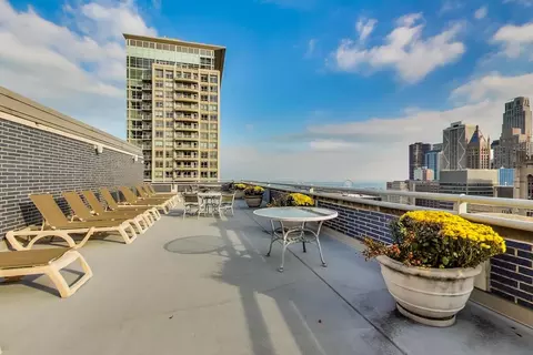 Other - 222 E Pearson St #905, Chicago, IL 60611 photo 3 of 4