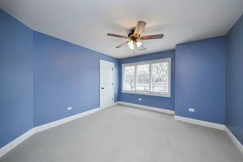449 Buckeye Dr, Naperville, IL 60540 photo 38