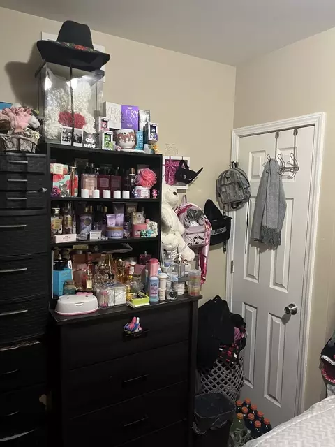 Other - 313 Bevier Pl, Aurora, IL 60505 photo 9 of 12