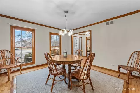 225 Aron Ct, Bartlett, IL 60103 photo 13