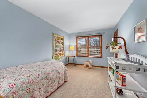 225 Aron Ct, Bartlett, IL 60103 photo 23