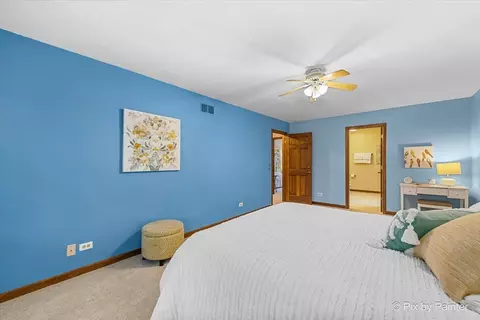 225 Aron Ct, Bartlett, IL 60103 photo 20