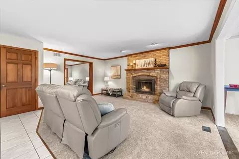 225 Aron Ct, Bartlett, IL 60103 photo 6