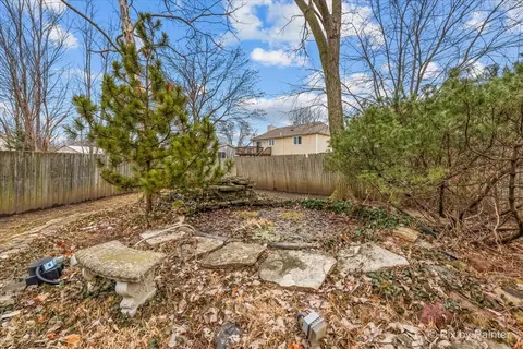 225 Aron Ct, Bartlett, IL 60103 photo 47
