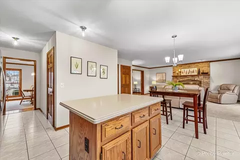 225 Aron Ct, Bartlett, IL 60103 photo 10