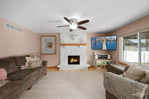 4408 Mallard Ln, Plainfield, IL 60586 photo 12