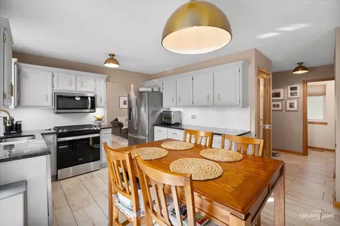 4408 Mallard Ln, Plainfield, IL 60586 photo 8
