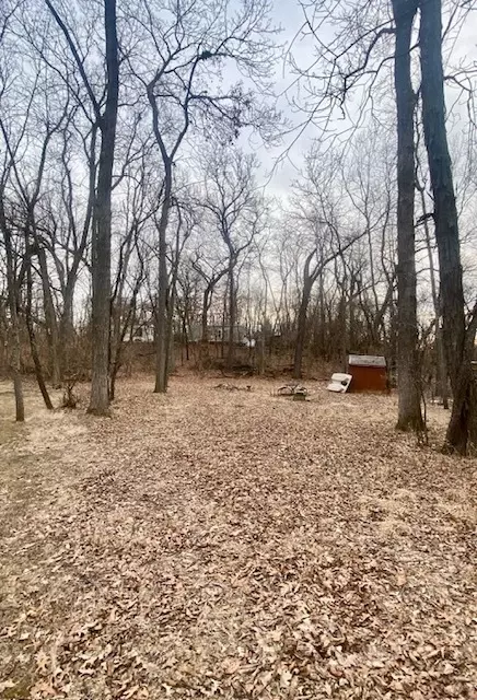 1662 Woodhaven, Sublette, IL 61367