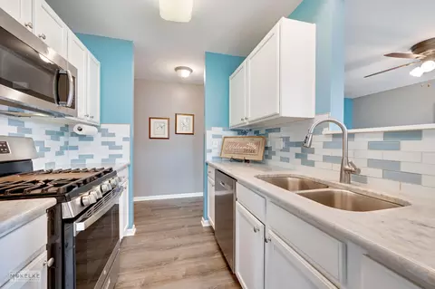 1468 Bluestem Ln, Minooka, IL 60447 photo 7