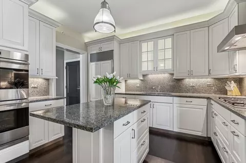 25 E Superior St #3702, Chicago, IL 60611 photo 14