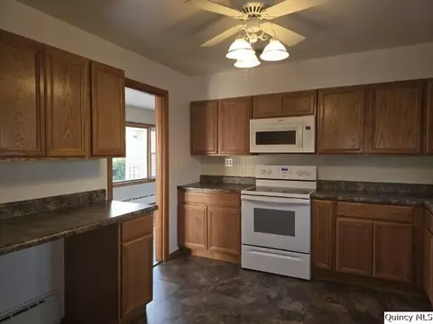 825 Augusta Rd, Carthage, IL 62321 photo 17