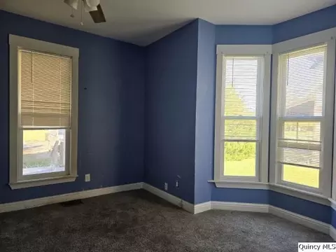 804 E Main, Carthage, IL 62321 photo 17