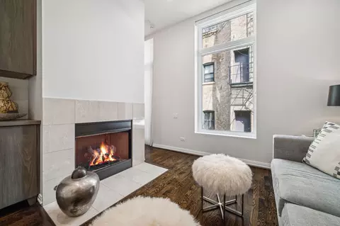 Living - 1017 N Dearborn St, Chicago, IL 60610 photo 6 of 8