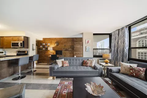 Living - 33 E Cedar St #19E, Chicago, IL 60611 photo 6 of 8