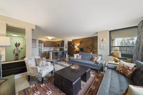 Living - 33 E Cedar St #19E, Chicago, IL 60611 photo 5 of 8