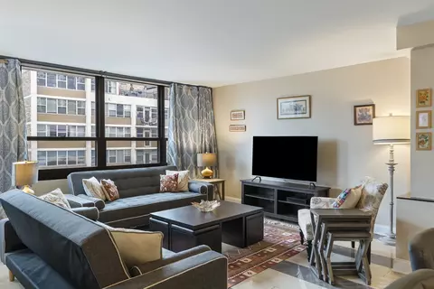 Living - 33 E Cedar St #19E, Chicago, IL 60611 photo 2 of 8