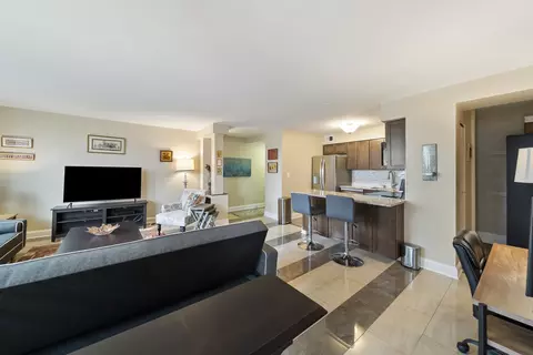 Living - 33 E Cedar St #19E, Chicago, IL 60611 photo 1 of 8