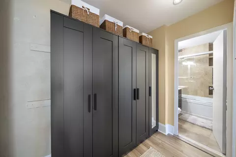 Other - 33 E Cedar St #19E, Chicago, IL 60611 photo 3 of 5