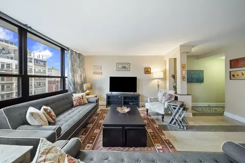 Living - 33 E Cedar St #19E, Chicago, IL 60611 photo 3 of 8