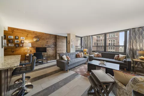 Living - 33 E Cedar St #19E, Chicago, IL 60611 photo 4 of 8