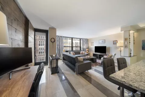 Living - 33 E Cedar St #19E, Chicago, IL 60611 photo 8 of 8