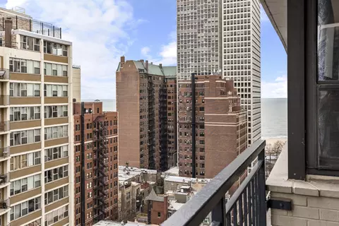 View/Area - 33 E Cedar St #19E, Chicago, IL 60611 photo 1 of 1