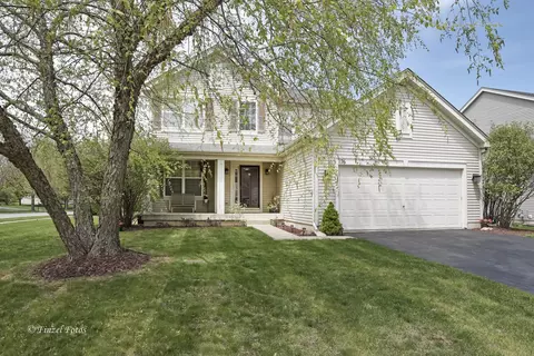 176 Boulder Ct, Gilberts, IL 60136 photo 1