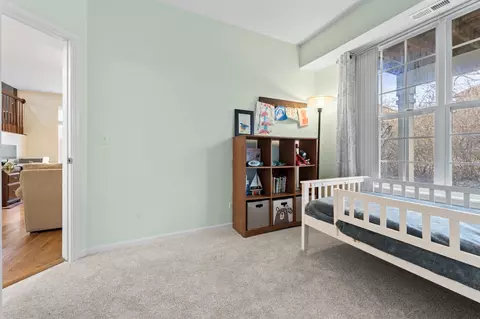 361 Emerald Ln #361, Algonquin, IL 60102 photo 31