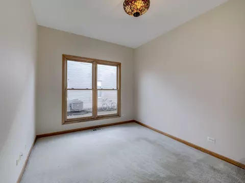 12173 Winterberry Ln, Plainfield, IL 60585 photo 22