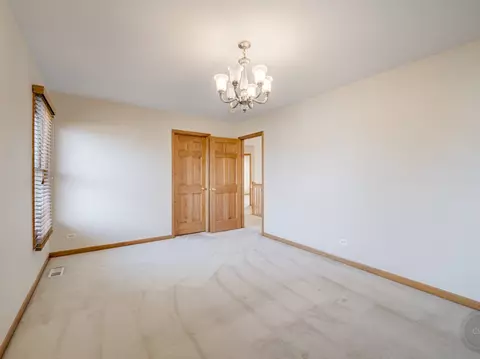 12173 Winterberry Ln, Plainfield, IL 60585 photo 36