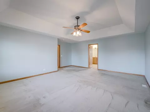 12173 Winterberry Ln, Plainfield, IL 60585 photo 42
