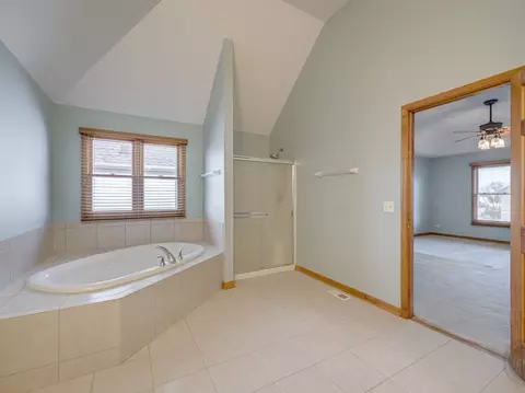 12173 Winterberry Ln, Plainfield, IL 60585 photo 45