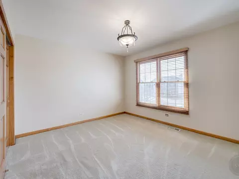 12173 Winterberry Ln, Plainfield, IL 60585 photo 29
