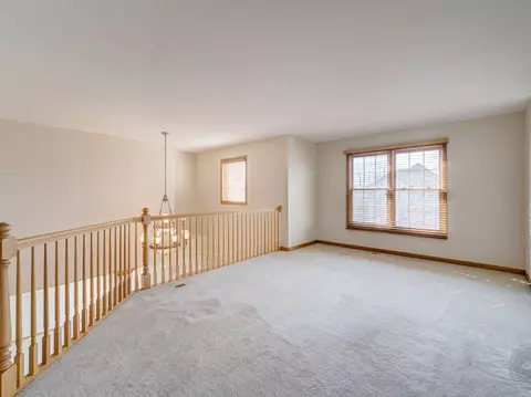 12173 Winterberry Ln, Plainfield, IL 60585 photo 24