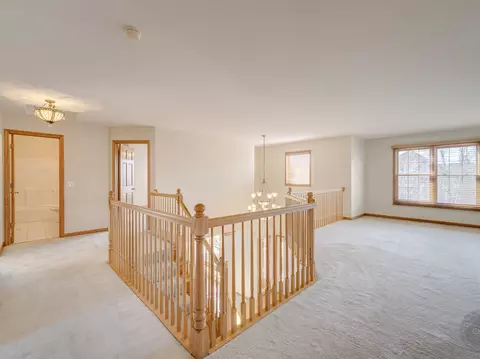 12173 Winterberry Ln, Plainfield, IL 60585 photo 25