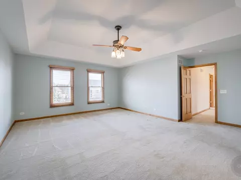 12173 Winterberry Ln, Plainfield, IL 60585 photo 39