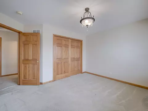 12173 Winterberry Ln, Plainfield, IL 60585 photo 28