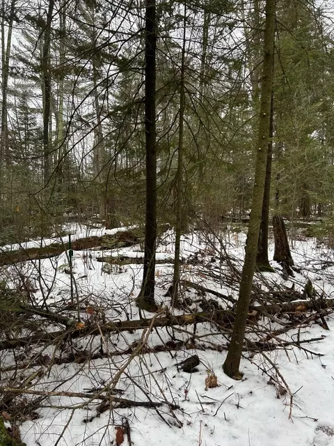 lot2 Branch Rd, Tomahawk, WI 54487 photo 20
