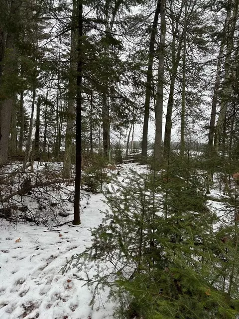 lot2 Branch Rd, Tomahawk, WI 54487 photo 21