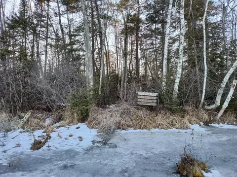 lot2 Branch Rd, Tomahawk, WI 54487 photo 4