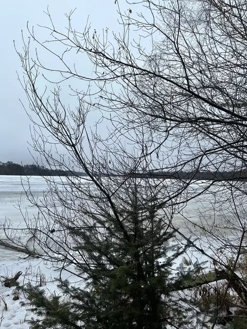 lot2 Branch Rd, Tomahawk, WI 54487 photo 15